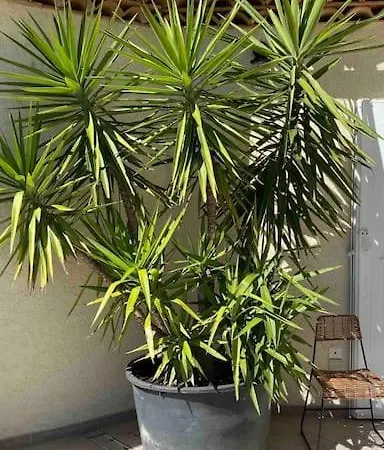 élégante Vue 180 à 5 Min Luxe Et Confort Garantis Le Lavandou