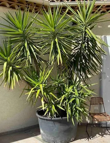 Elegante Vue 180 A 5 Min Luxe Et Confort Garantis Le Lavandou